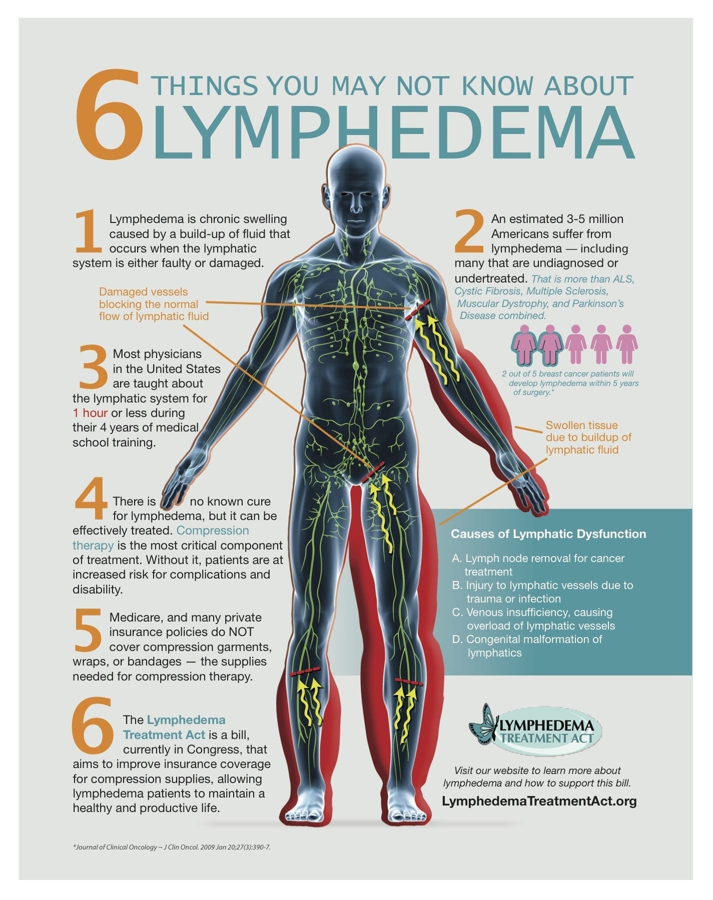 Treatment for Lymphedema - The Lymphedema Association of Manitoba (LAM)